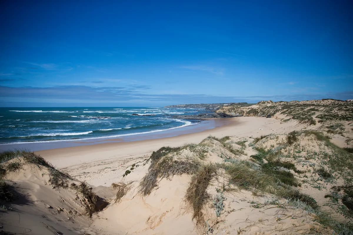 9 Best Algarve Beach Clubs to Visit in 2026
