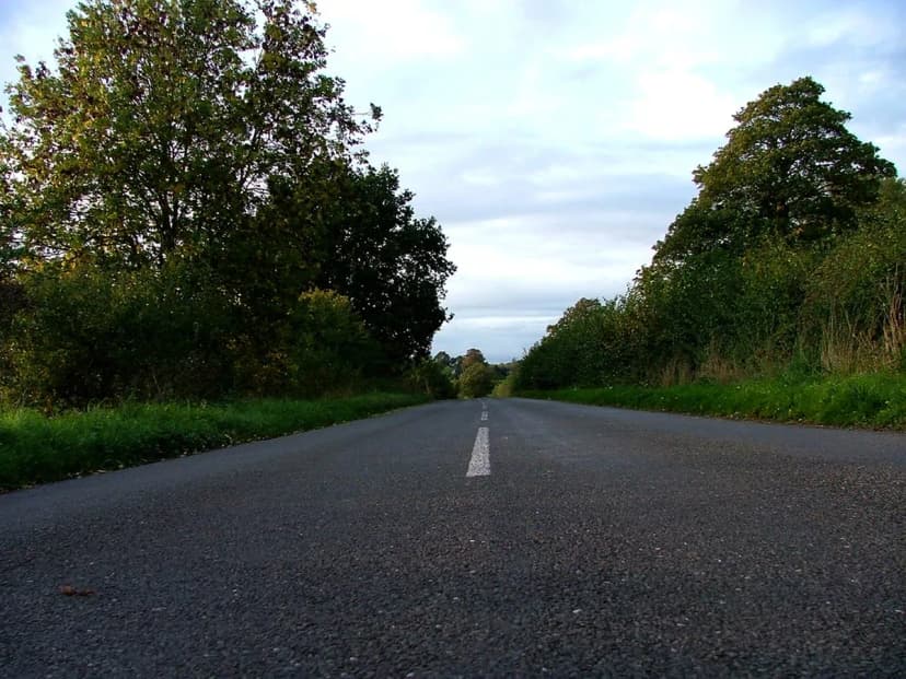 10 Best Pubs in Copenhagen: Historic Brown Bars & Craft Beer (2026)