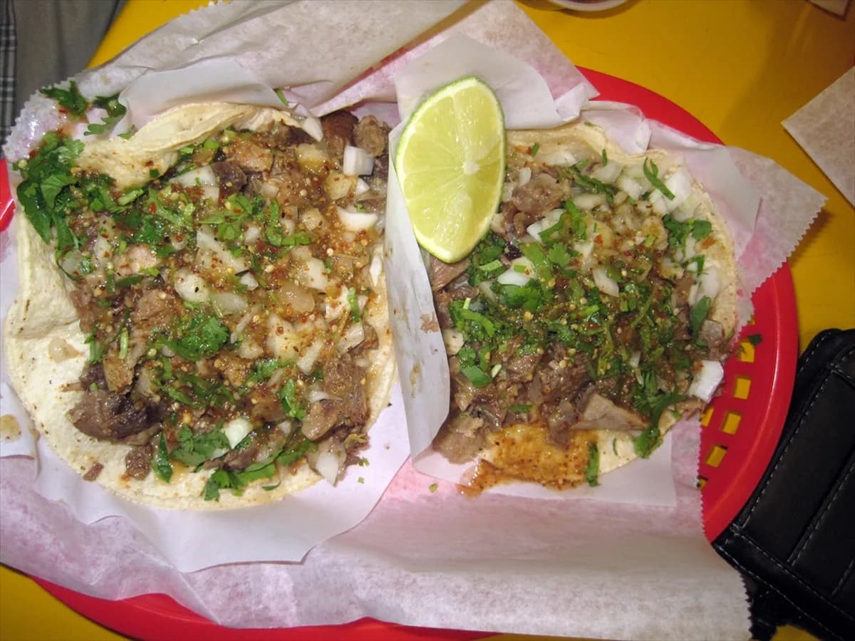 Late Night Food Bairro Alto Lisbon Travel Guide