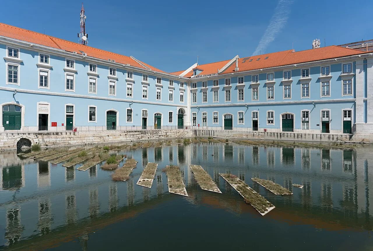 Lisbon Night Bus Guide: Carris Routes, Metro Hours, Fares and Night Tour Options