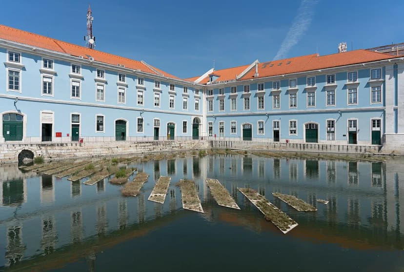 Lisbon Night Bus Guide: Carris Routes, Metro Hours, Fares and Night Tour Options