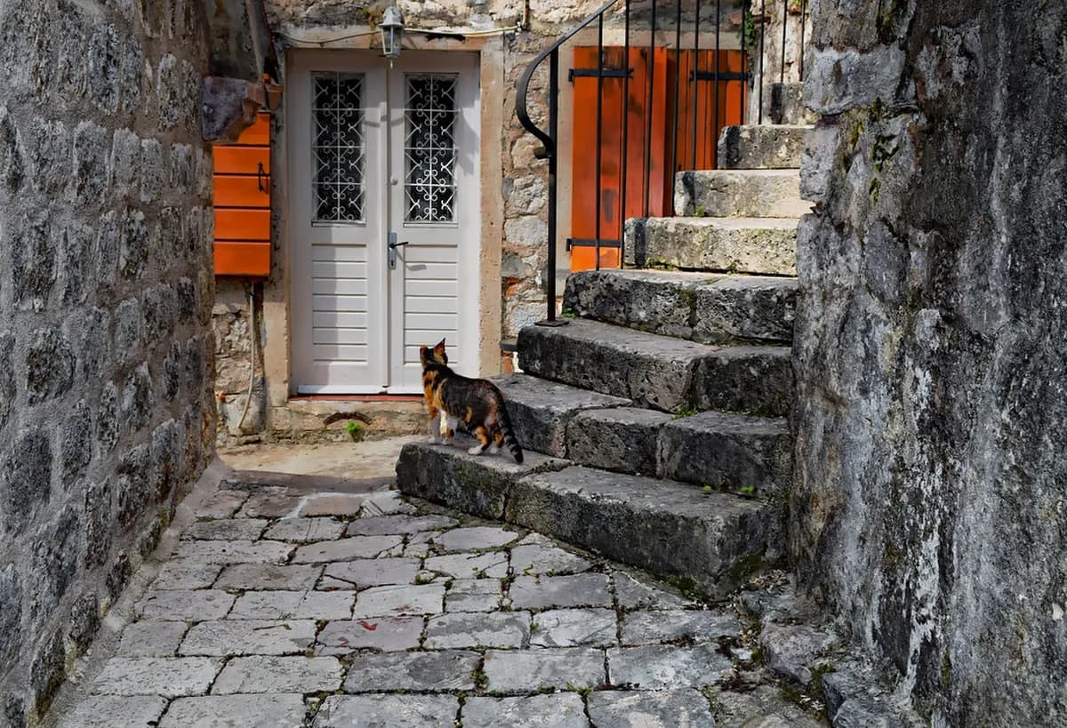 Live Music Venues Kotor: Where to Hear Bands, Acoustic Sets, and Traditional Songs