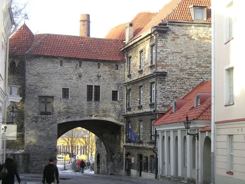 Live Music in Tallinn: 12 Venues, Halls, and Festival Picks