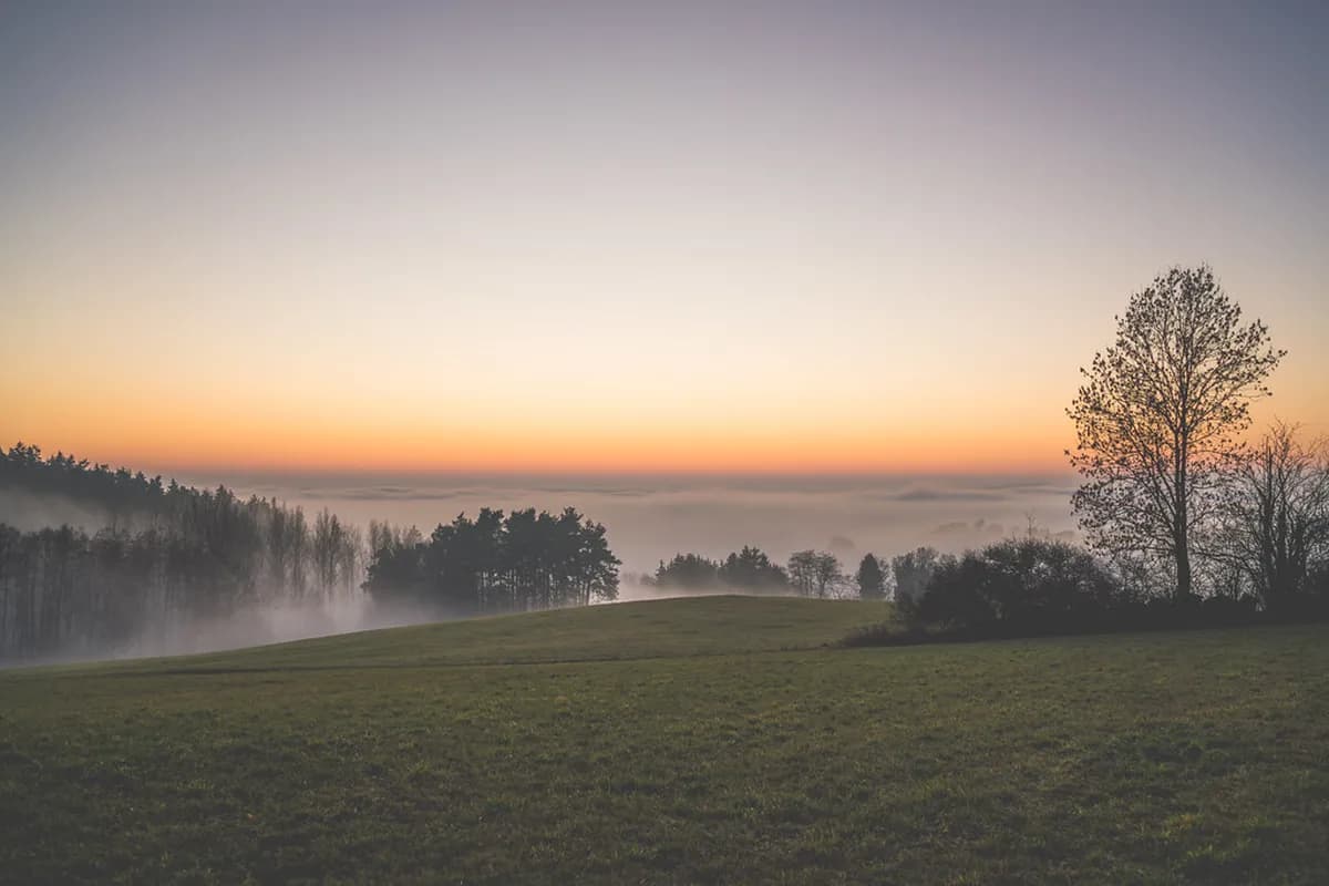 8 Best Cities for New Year's Eve Europe Nightlife (2026)