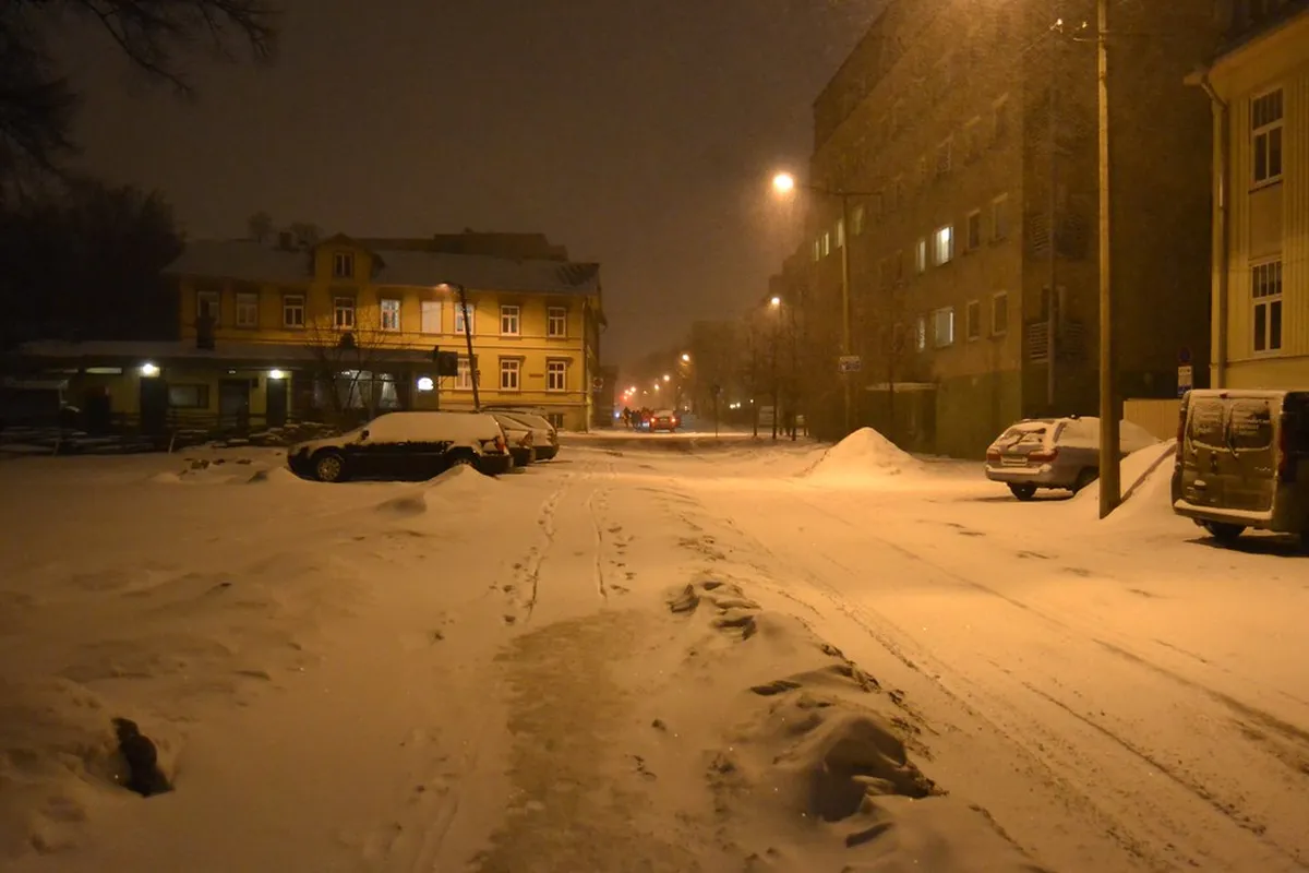 13 Best Ways to Experience Tallinn Nightlife