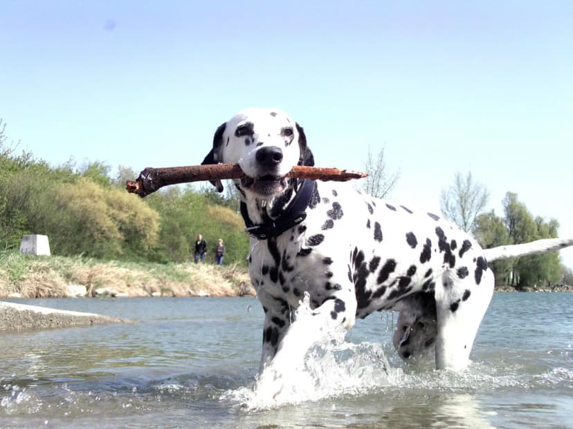 10 Best Vienna Clubs for Nightlife and Electronic Music (2026)