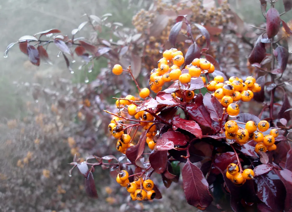 Why Tirana's Nightlife is Special in Albania