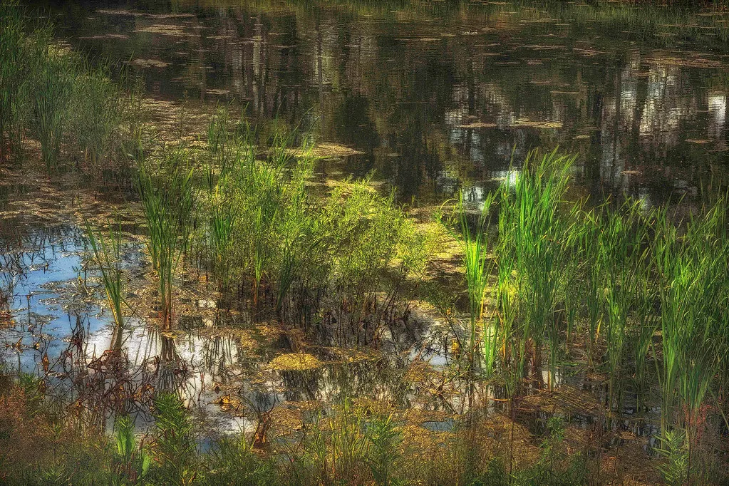 Best Bars in Brussels (2026) in Belgium