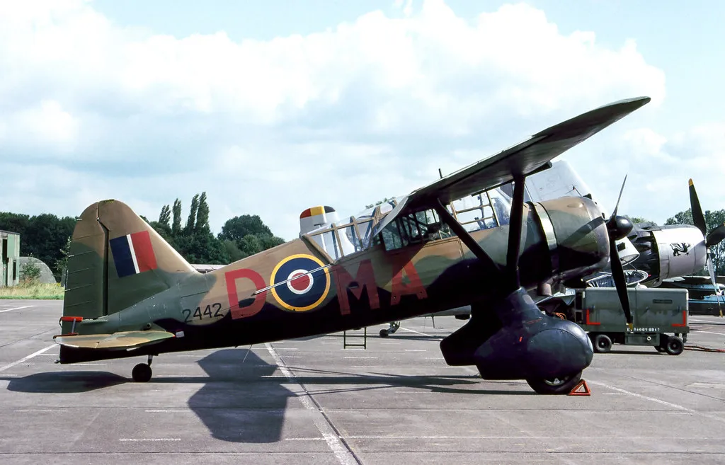 Essential Ghent Beer Styles for First-Timers in Belgium