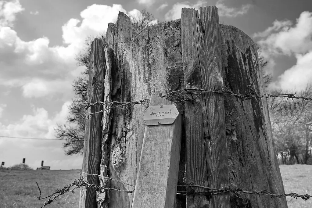 A la Bécasse: Traditional Beer and Ardennes Ham in Belgium