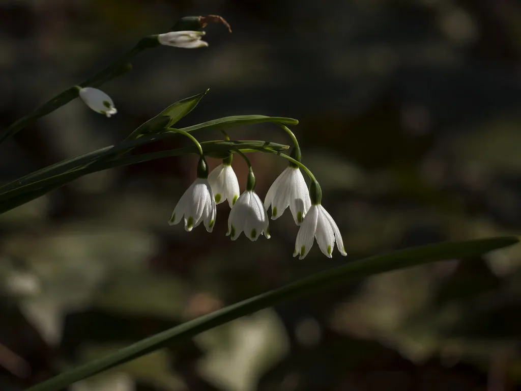 Safety, Dress Codes and Practical Tips in Belgium