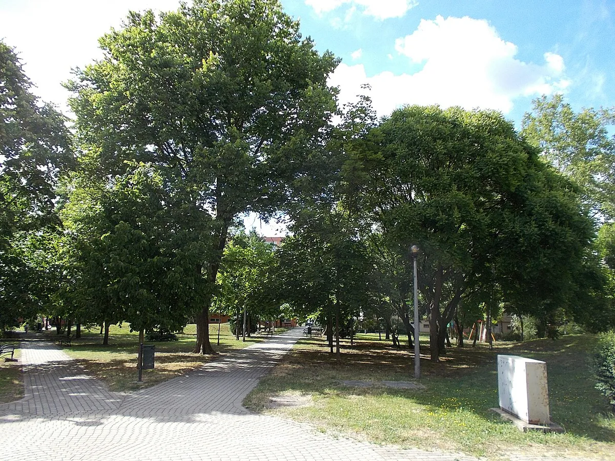 Bartók Béla park  2020 Százhalombatta — 1