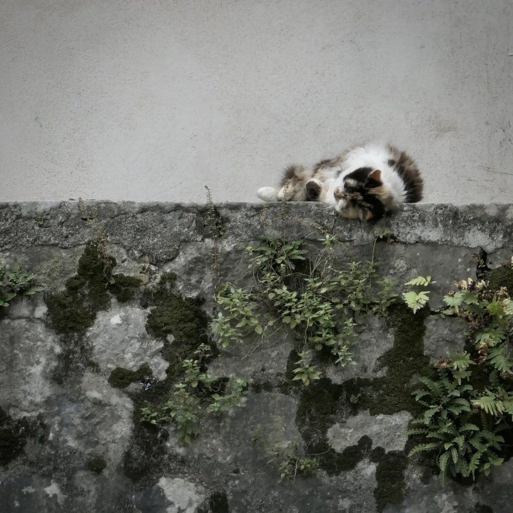 Budget-Friendly Bars and Happy Hour Picks in Croatia