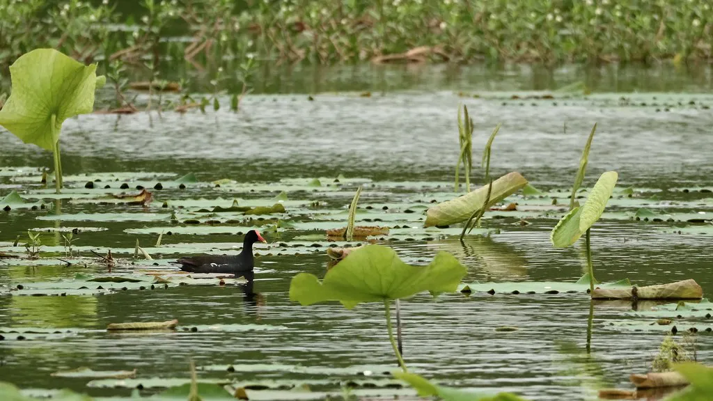 Planning Your Zagreb Nightlife Experience in Croatia