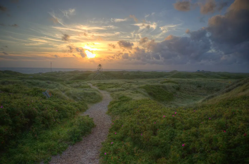 The Copenhagen Cocktail Scene: A Global Mixology Destination in Denmark