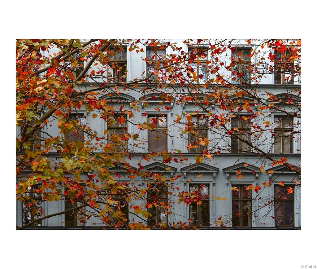 What to Skip: Overrated Party Destinations in Berlin