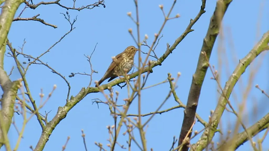 Mykonos, Greece: Glamorous Summer Beach Parties in Berlin