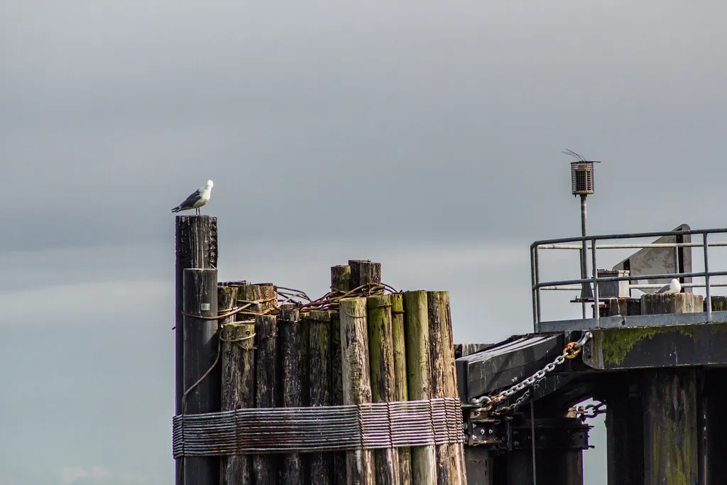 Solo Female Safety, Ask for Angela and Drink-Spiking Prevention