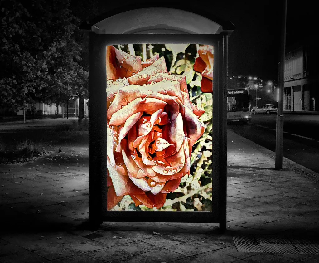 Fuel Your Night: Late-Night Berlin Food in Germany