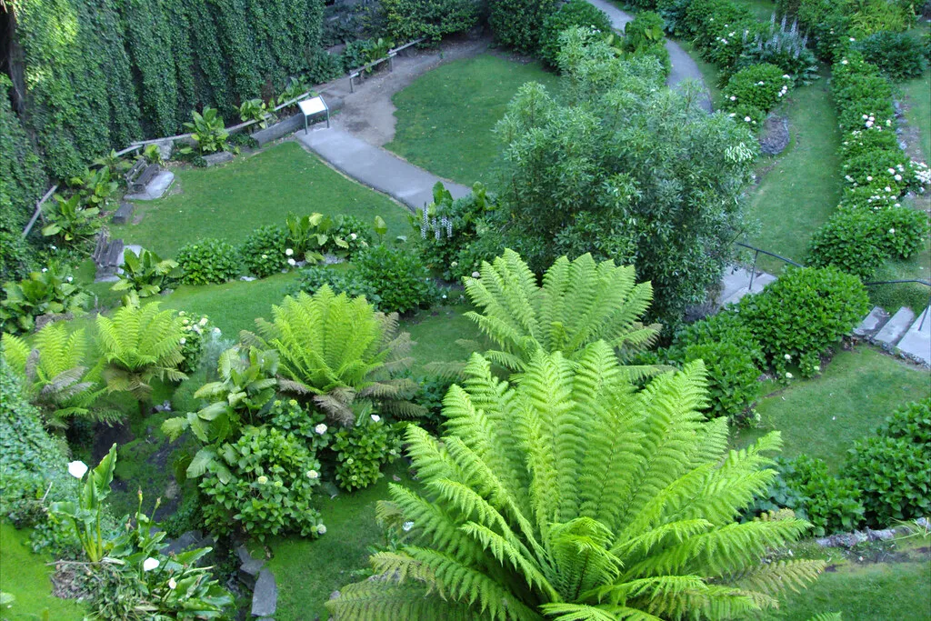 Neighborhood Vibes: Where to Drink and Why It Matters in Germany