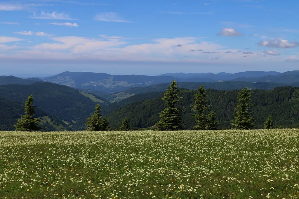 Best Bars in Hamburg for Every Vibe in Germany