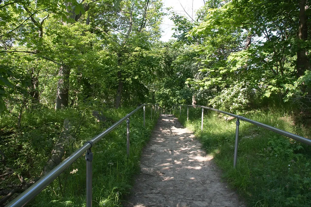 Plan B Pairings: What to Do If You Get Rejected in Germany