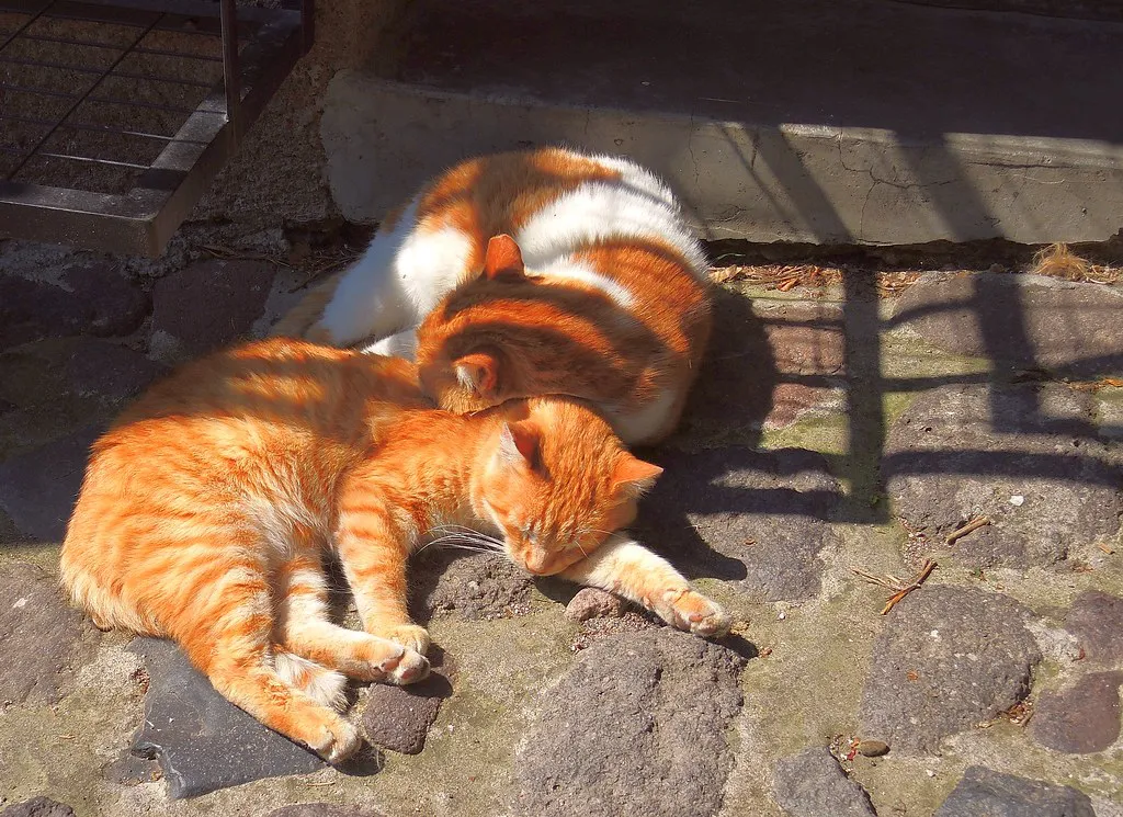 The Neighborhoods that Never Sleep in Greece