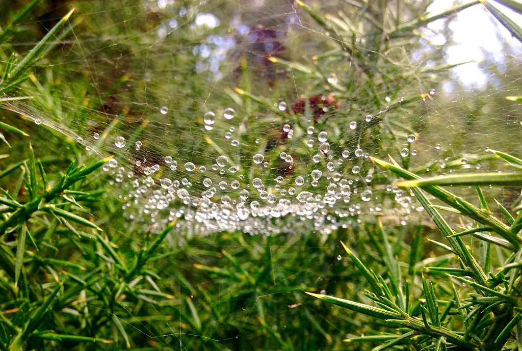 Neighborhood Cheat Sheet in Ireland