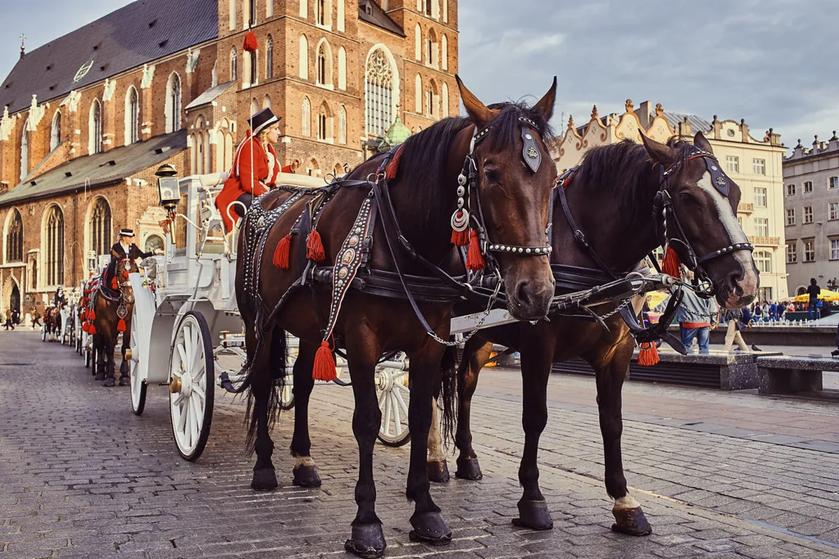 Krakow Main Square Nightlife: Quick Start
