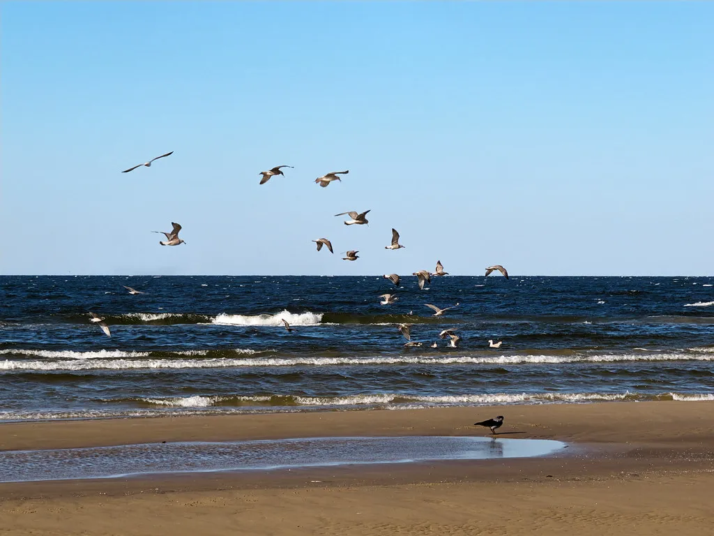 Old Town Riga: The Historic Heart of the Party in Latvia