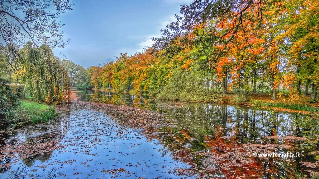 Late-Night Food, Transport, and Safety Essentials in Netherlands