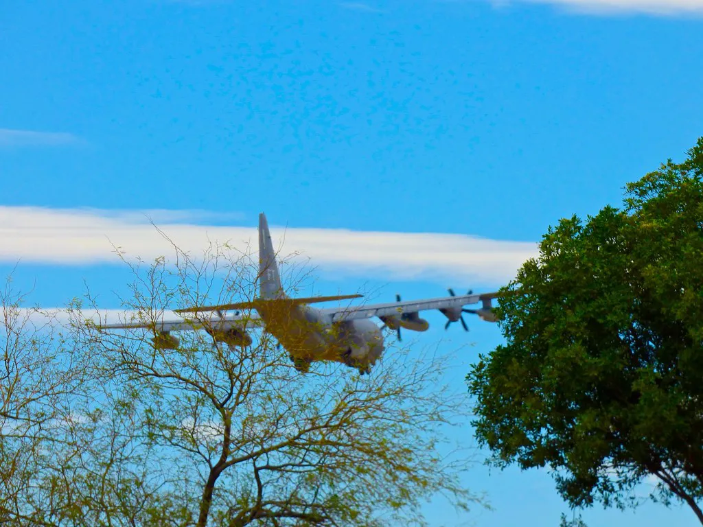 Sex, Drugs, and Naughty Souvenirs: Navigating the 'Vice' in Netherlands