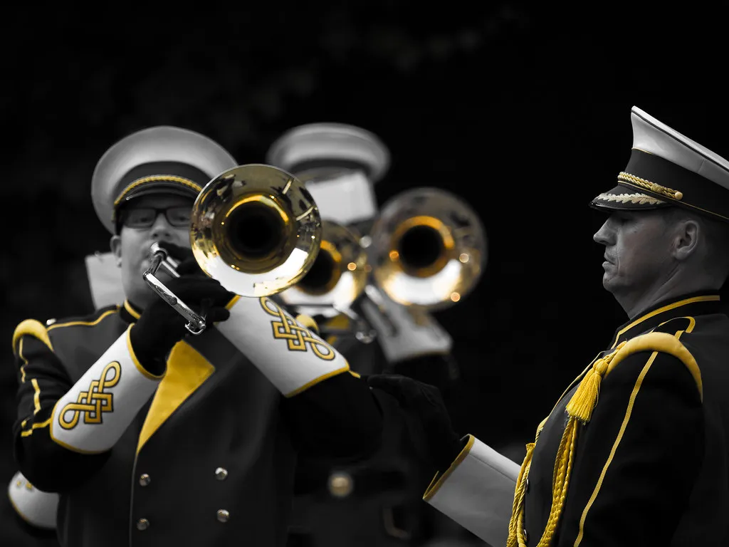 Sahara: Afro, Caribbean, and Urban Rhythms in Netherlands