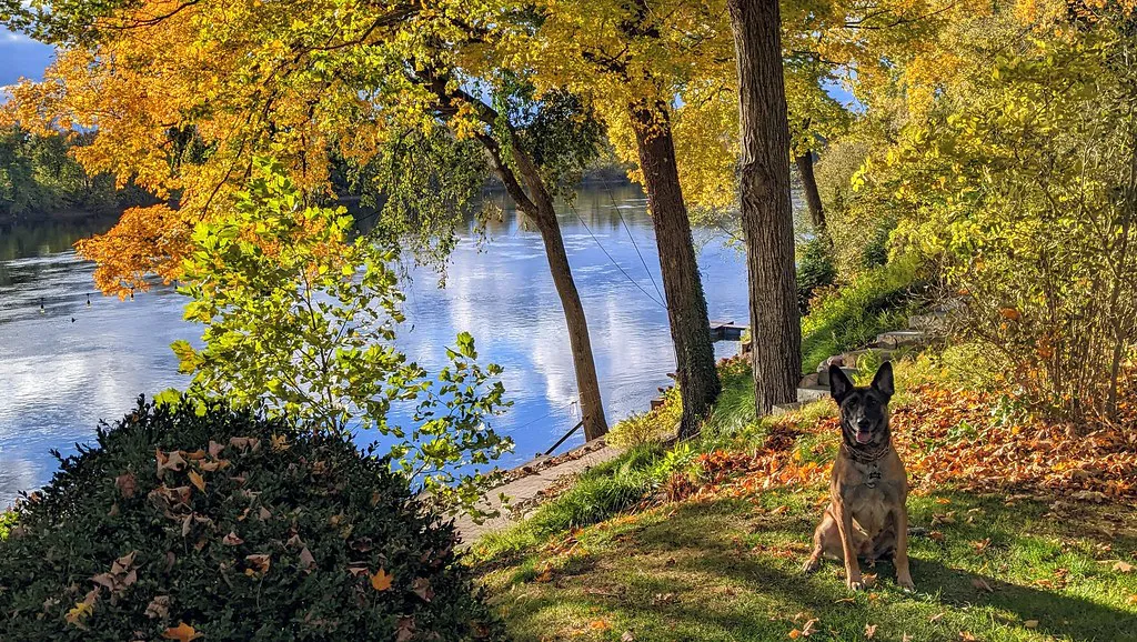 Pub Etiquette, Cash, and Cards: What First-Timers Miss in Netherlands