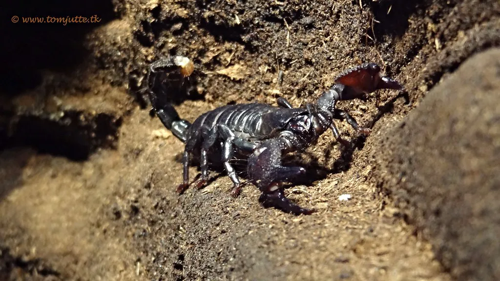 Planning Your Amsterdam Rooftop Crawl in Netherlands