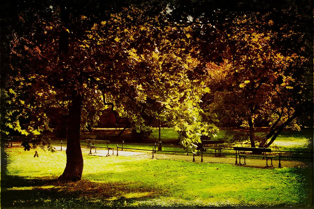 Walk Around Planty Park in Poland