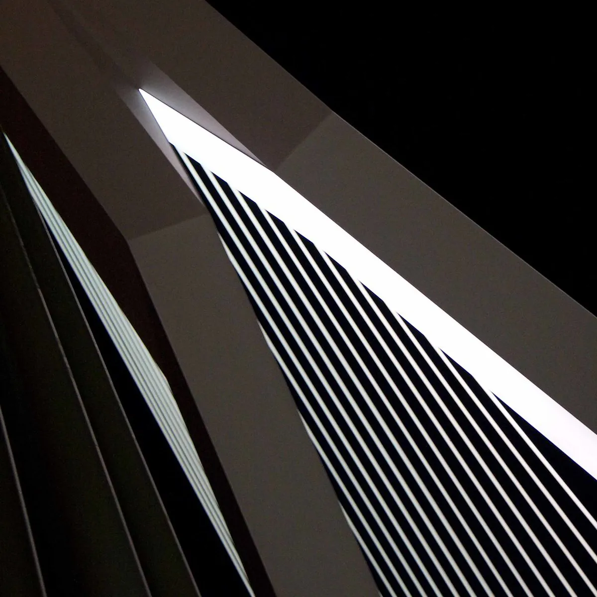 Timing Your Night Without Arriving Too Early in Rotterdam