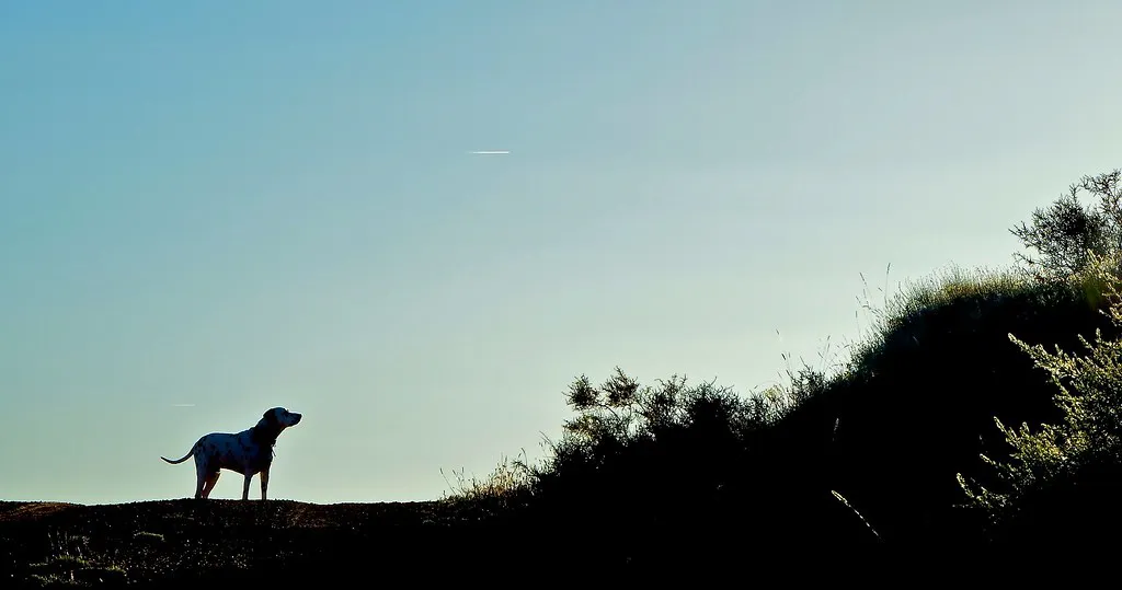 Alternatives If a Crawl Sounds Too Intense in Spain