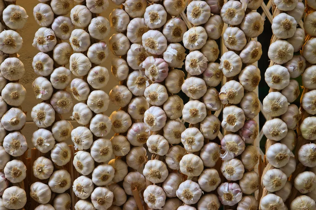 Seasonal Clubbing: Terrazas and the Summer Migration in Spain