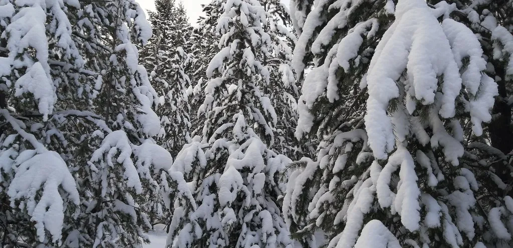 Basics of the Sevillian Nightlife: Timing and Culture in Spain