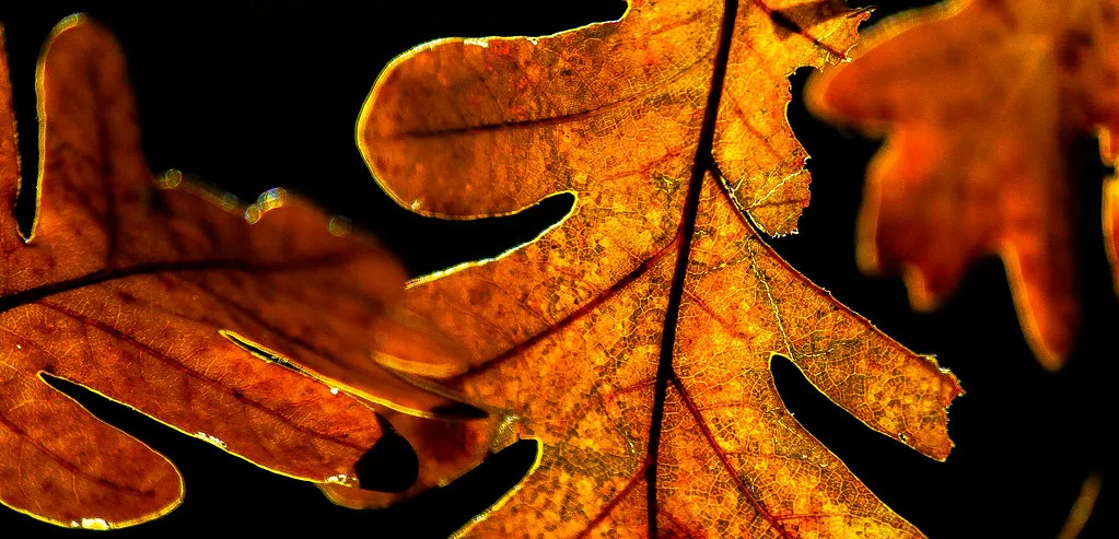 How We Chose These 15 Bars in Spain