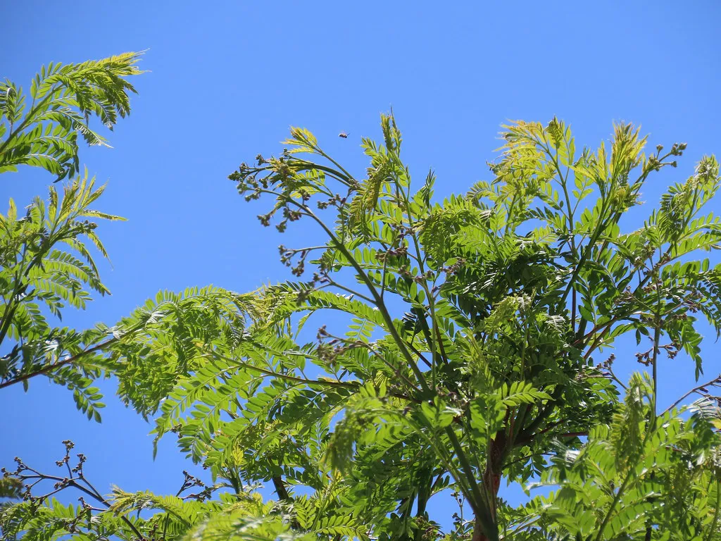 After-Hours: The Morning Terrace Culture No Guide Tells You About in Spain