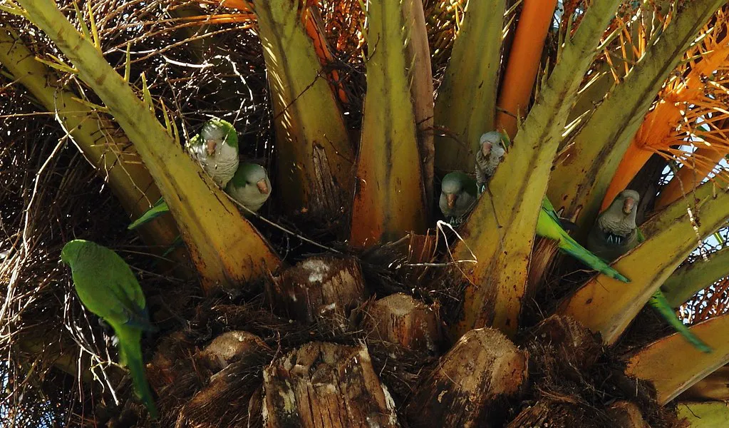 Practical Tips: Transport, Dress Codes, and Safety in Spain