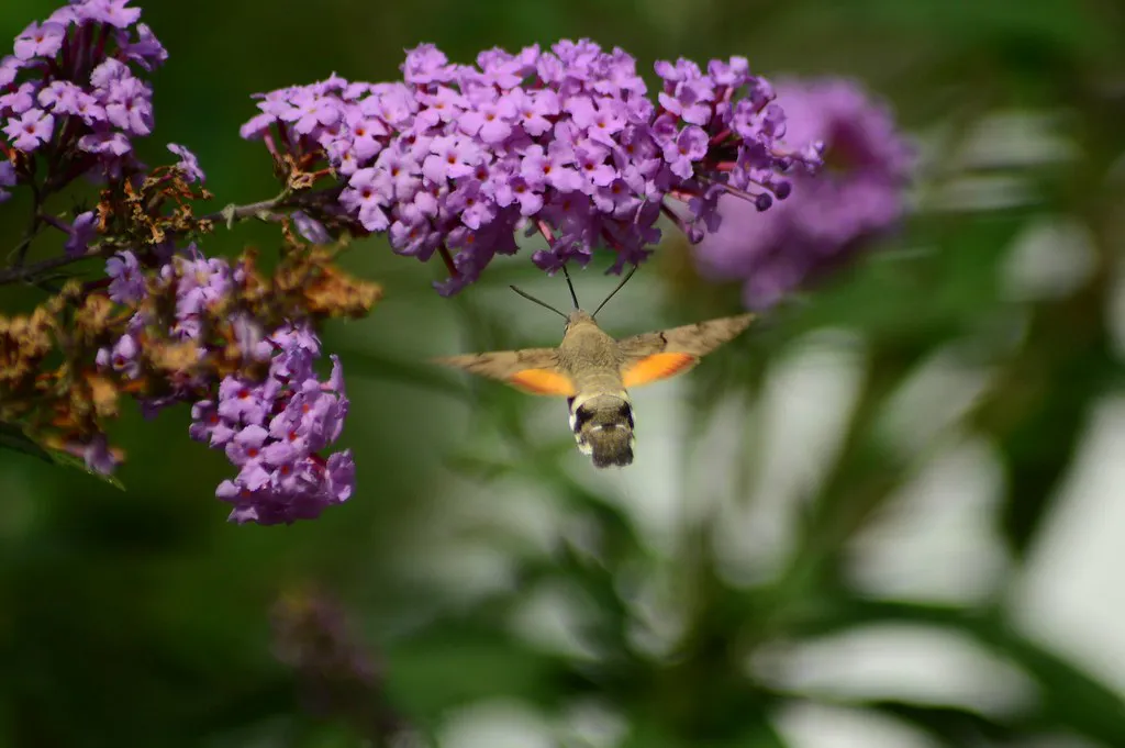 What to Skip: Overrated Drinking Spots in Sweden