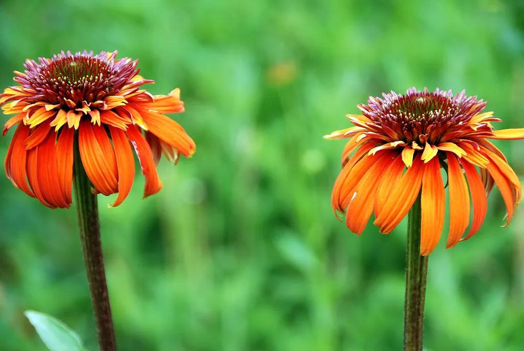 Quick Compare: Bars by Vibe, Price, and Best For in Sweden