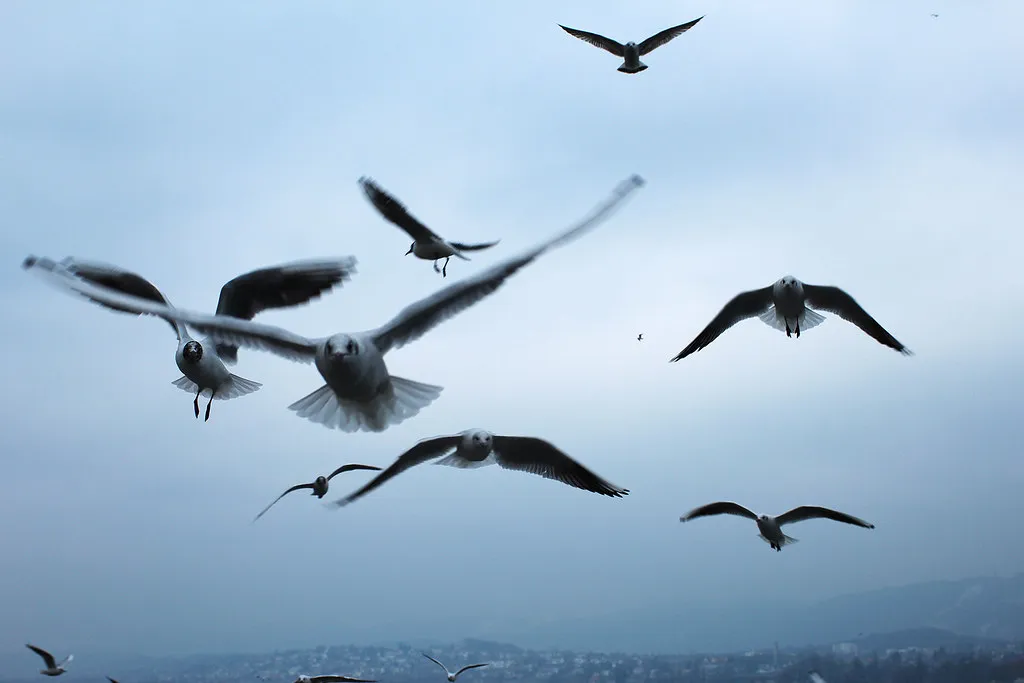 More Zurich Travel Inspiration in Switzerland