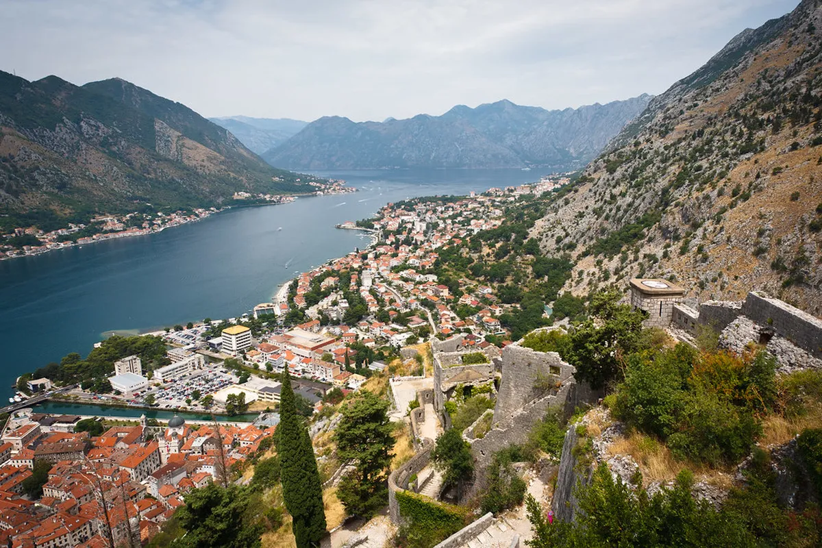 Look for Kotor’s Cat Corners After Dark — a scene in Kotor
