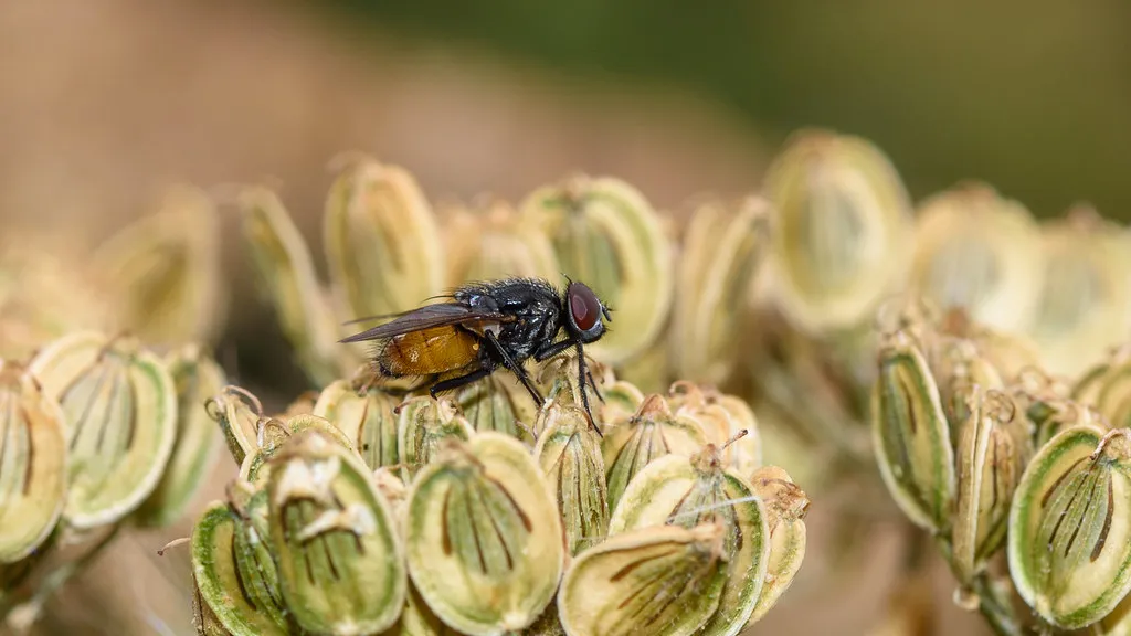 Best Neighborhoods for Midnight Bites in United Kingdom