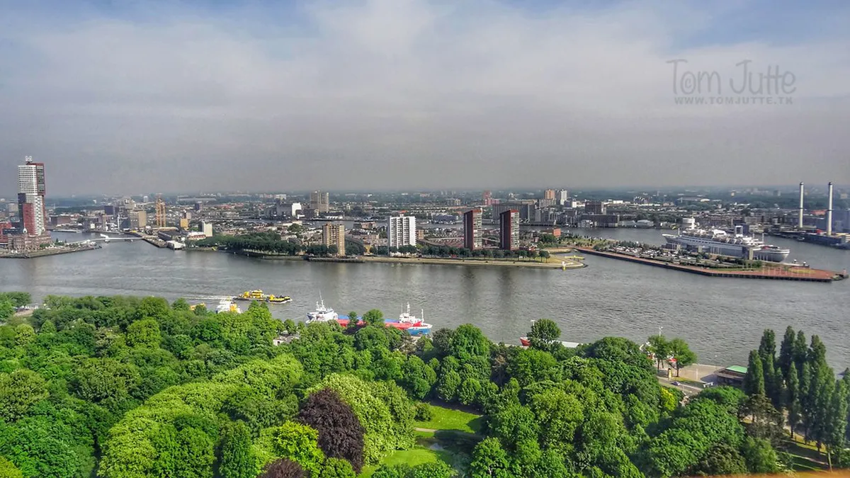 The Kunstavond Strategy Before the Bars Peak in Rotterdam